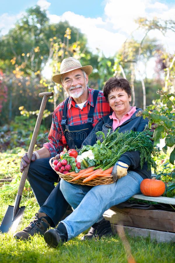 gardeners images